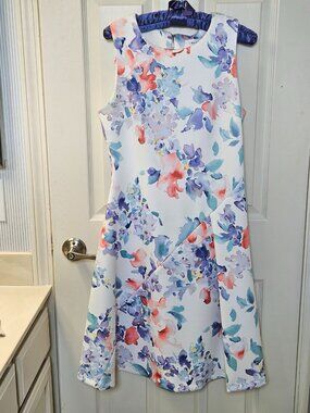 Title  Calvin Klein Floral Sleeveless Fit & Flare Dress Size 6
